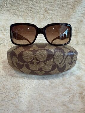 Coach Brown Gradient Oversized Women's Sunglasses